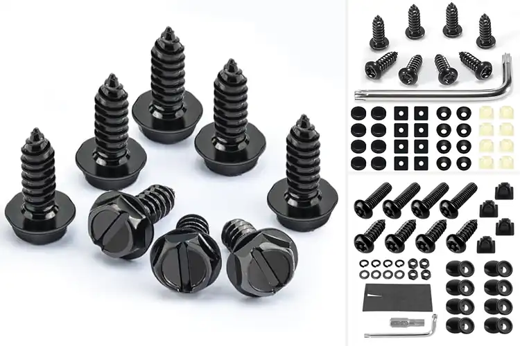 Detailed view of Best Anti-Rattle License Plate Screws
