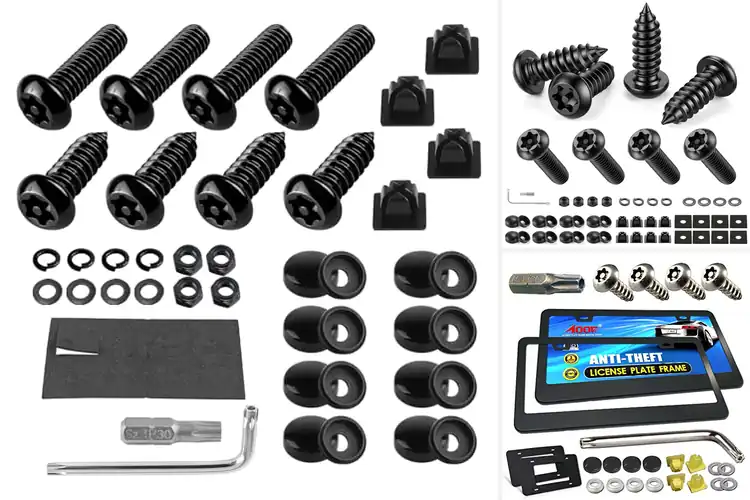 Detailed view of Best Anti Theft License Plate Kits