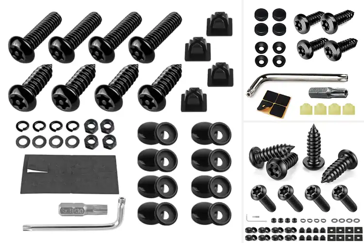 Detailed view of Best Anti Theft License Plate Screws
