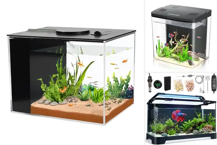 Detailed view of Best Betta Fish Tanks