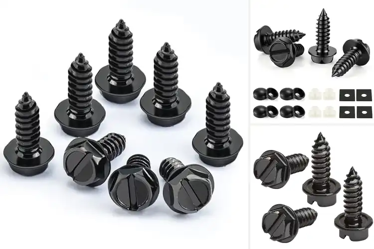 Detailed view of Best Car License Plate Screws