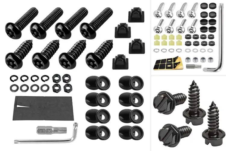 Detailed view of Best Easy Install License Plate Bolts