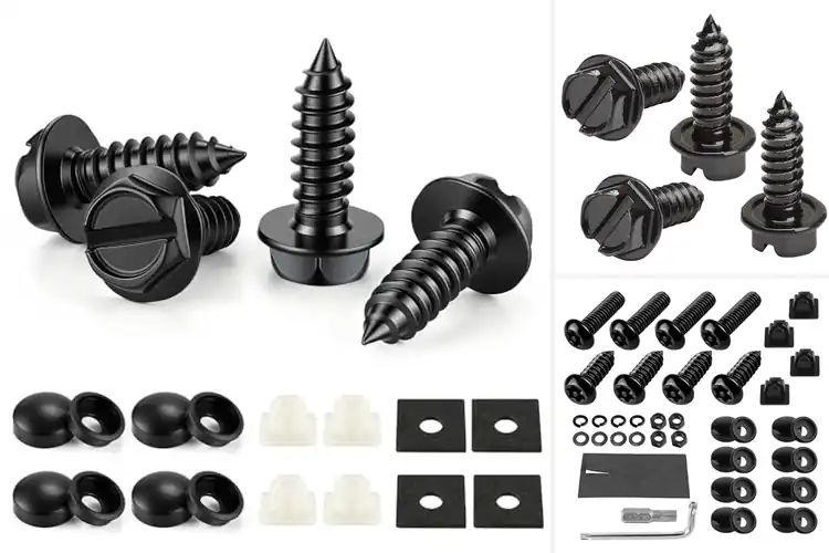 Detailed view of Best Easy Installation License Plate Screws