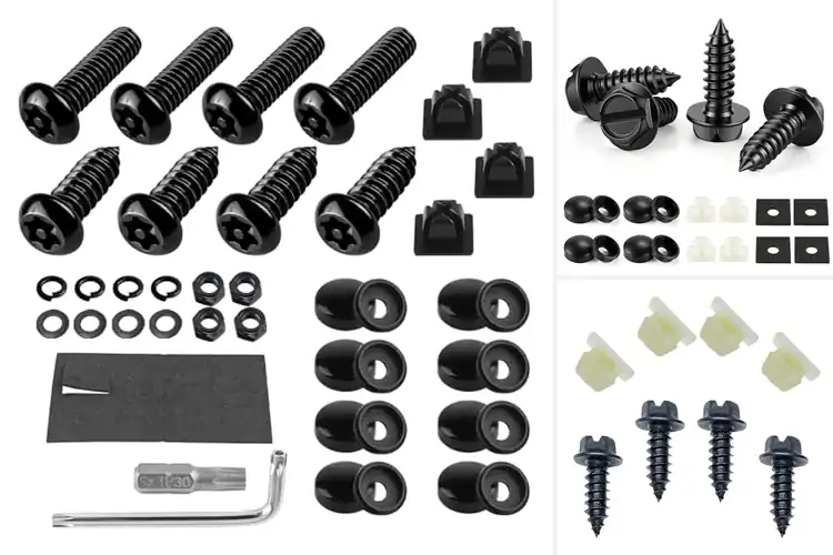 Detailed view of Best Easy To Install License Plate Fasteners