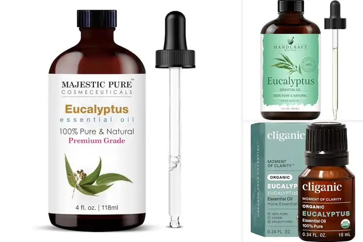 Detailed view of Best Eucalyptus Essential Oil