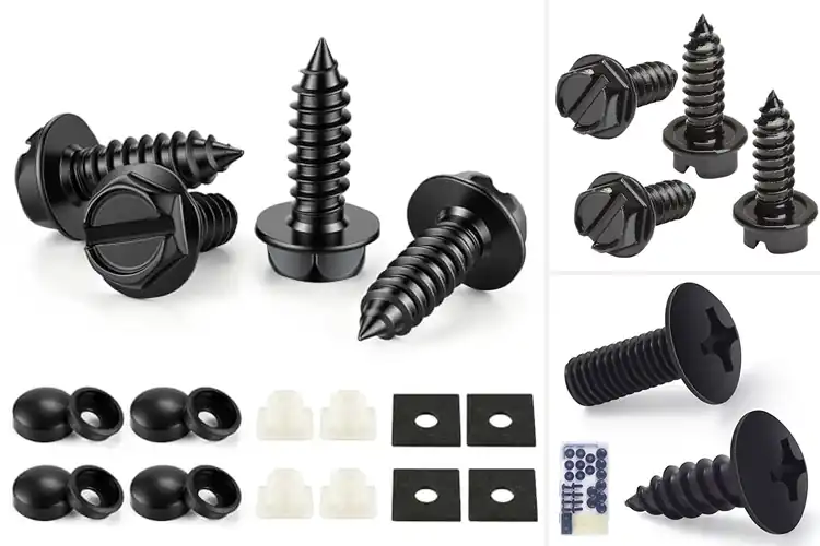 Detailed view of Best License Plate Frame Screws