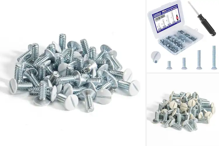 Detailed view of Best Light Switch Plate Screws