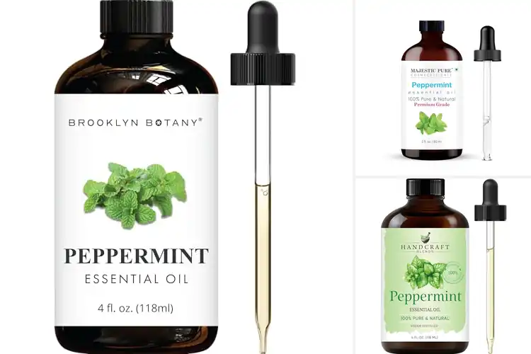 Detailed view of Best Peppermint Essential Oil