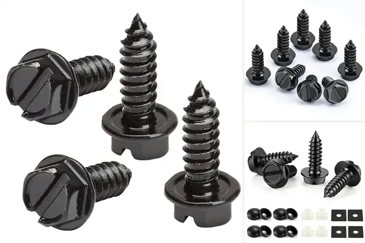 Detailed view of Best Rust Proof License Plate Screws