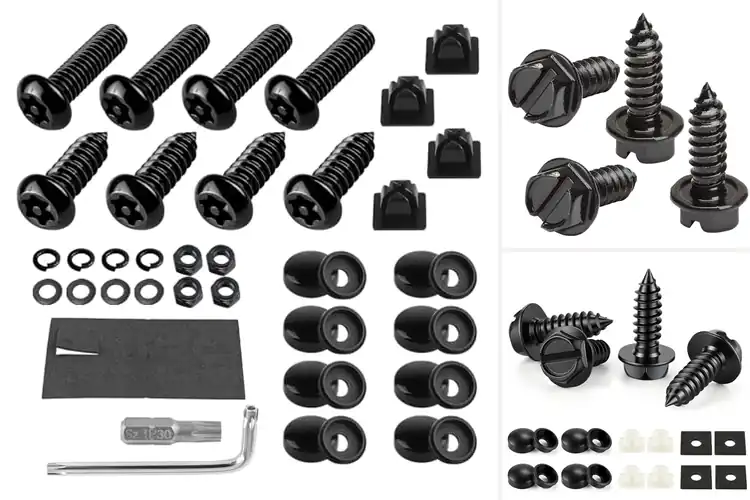 Detailed view of Best Rust Resistant License Plate Screws