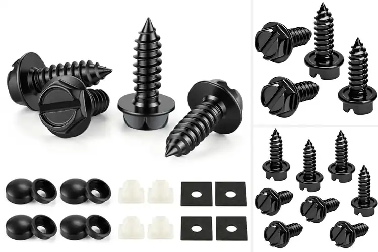 Detailed view of Best Rustproof License Plate Screws
