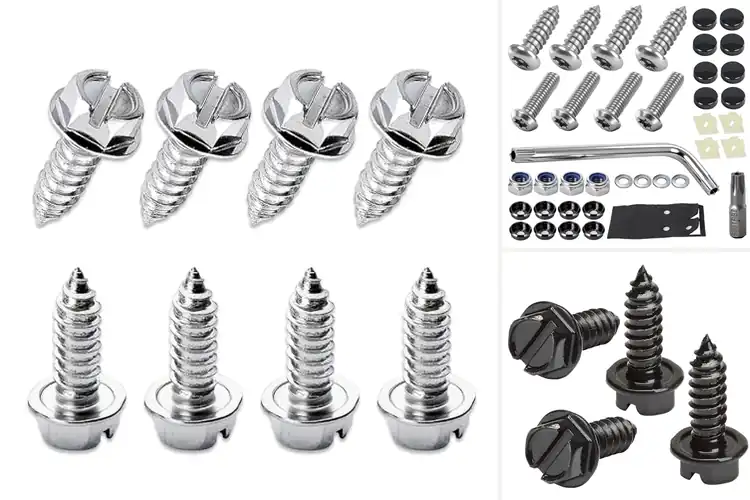 Detailed view of Best Stainless Steel License Plate Bolts