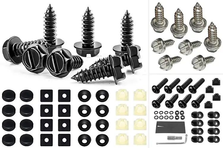 Detailed view of Best Stainless Steel License Plate Hardware