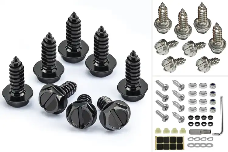 Detailed view of Best Stainless Steel License Plate Screws