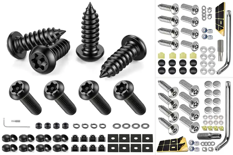 Detailed view of Best Tamper Resistant License Plate Bolts