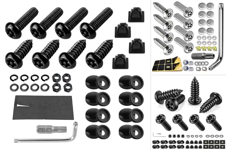 Detailed view of Best Tamper Resistant License Plate Screws