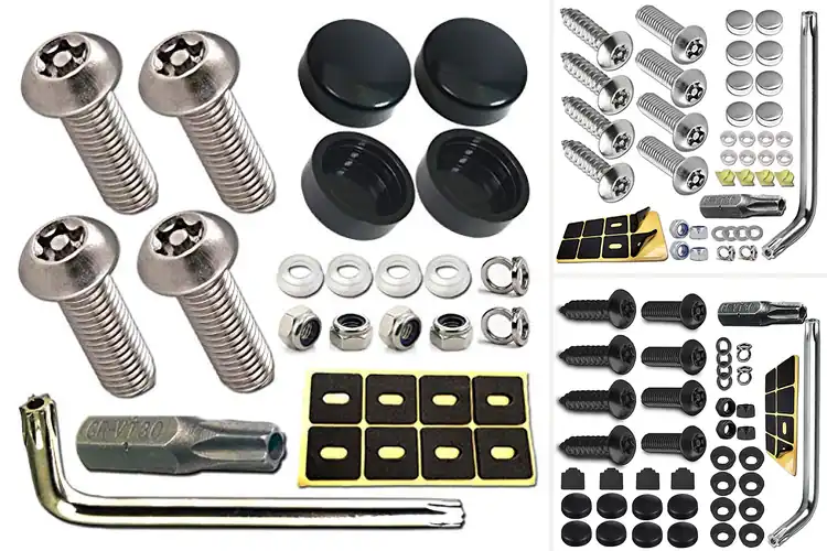 Detailed view of Best Tamper Resistant Plate Bolts