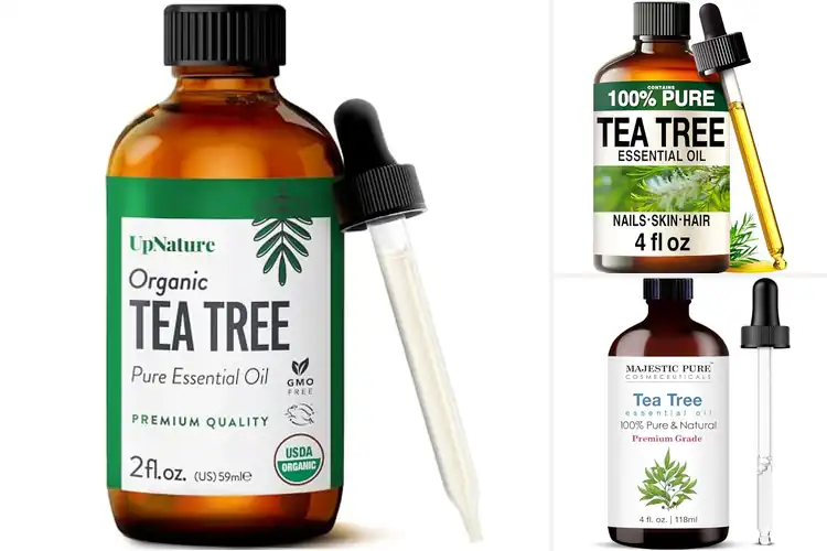 Detailed view of Best Tea Tree Essential Oil