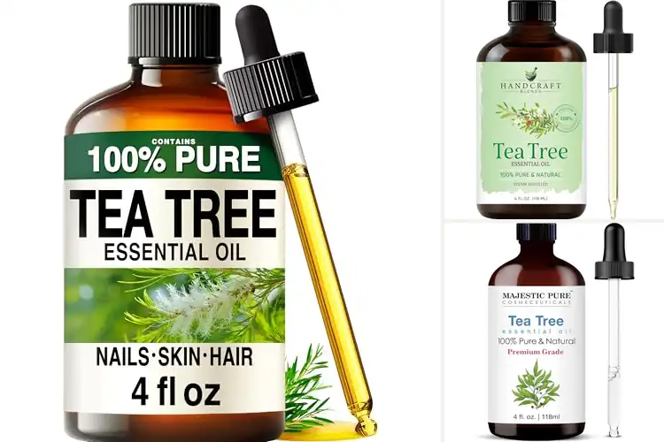 Detailed view of Best Tea Tree Essential Oils
