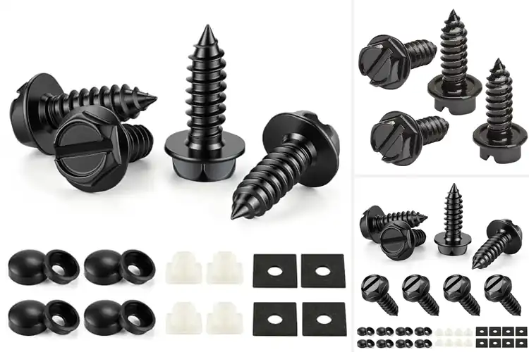 Detailed view of Best Truck License Plate Screws: Never Rust or Loosen