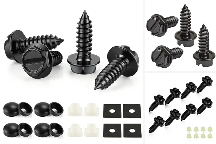 Detailed view of Best Universal Fit License Plate Screws