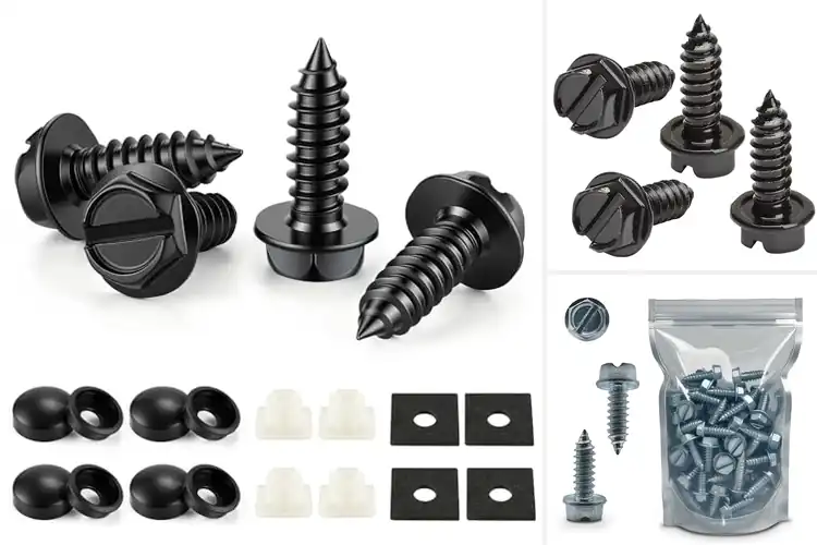 Detailed view of Best Universal License Plate Screws