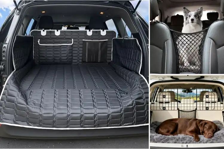 Detailed view of Best Van Accessories for Pet Owners